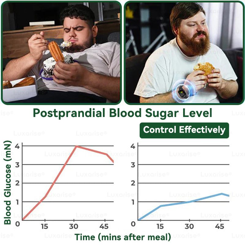 Ageoro® Moringa & Berberine 10-in-1 Advanced Nano Microneedle Patch