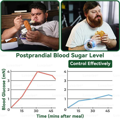 Ageoro® Moringa & Berberine 10-in-1 Advanced Nano Microneedle Patch